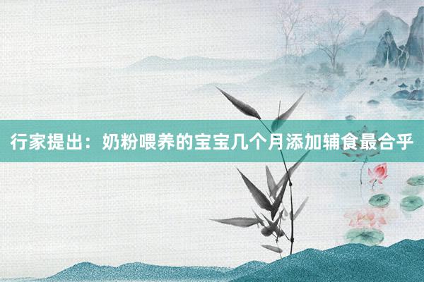 行家提出：奶粉喂养的宝宝几个月添加辅食最合乎