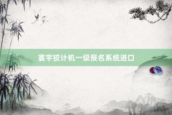 寰宇狡计机一级报名系统进口